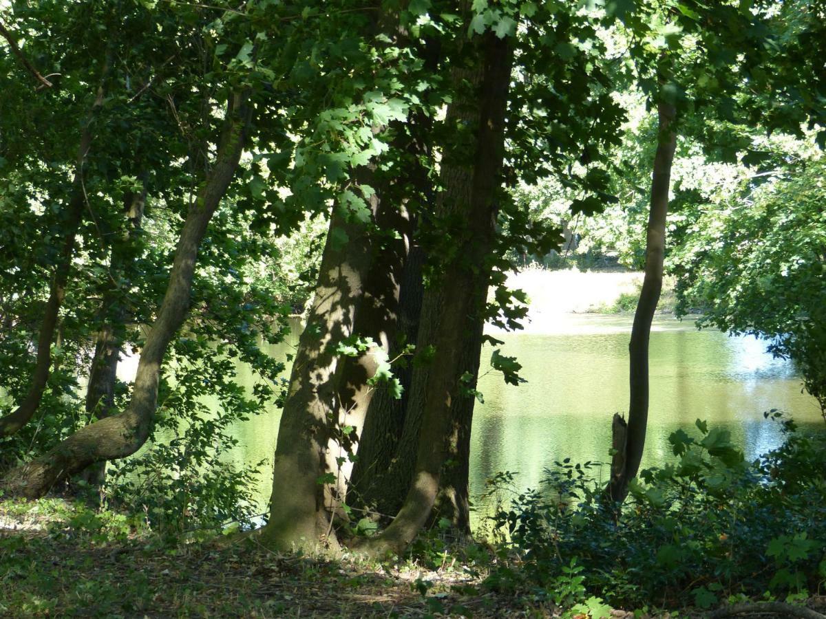 Ferienwohnung Mit Brockenblick Langenstein Bagian luar foto