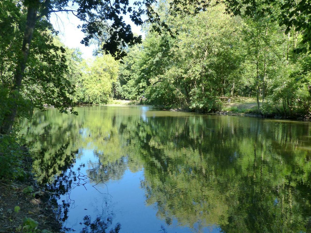Ferienwohnung Mit Brockenblick Langenstein Bagian luar foto