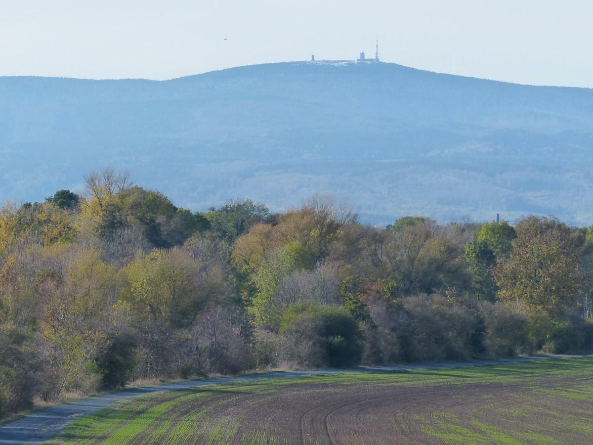 Ferienwohnung Mit Brockenblick Langenstein Bagian luar foto