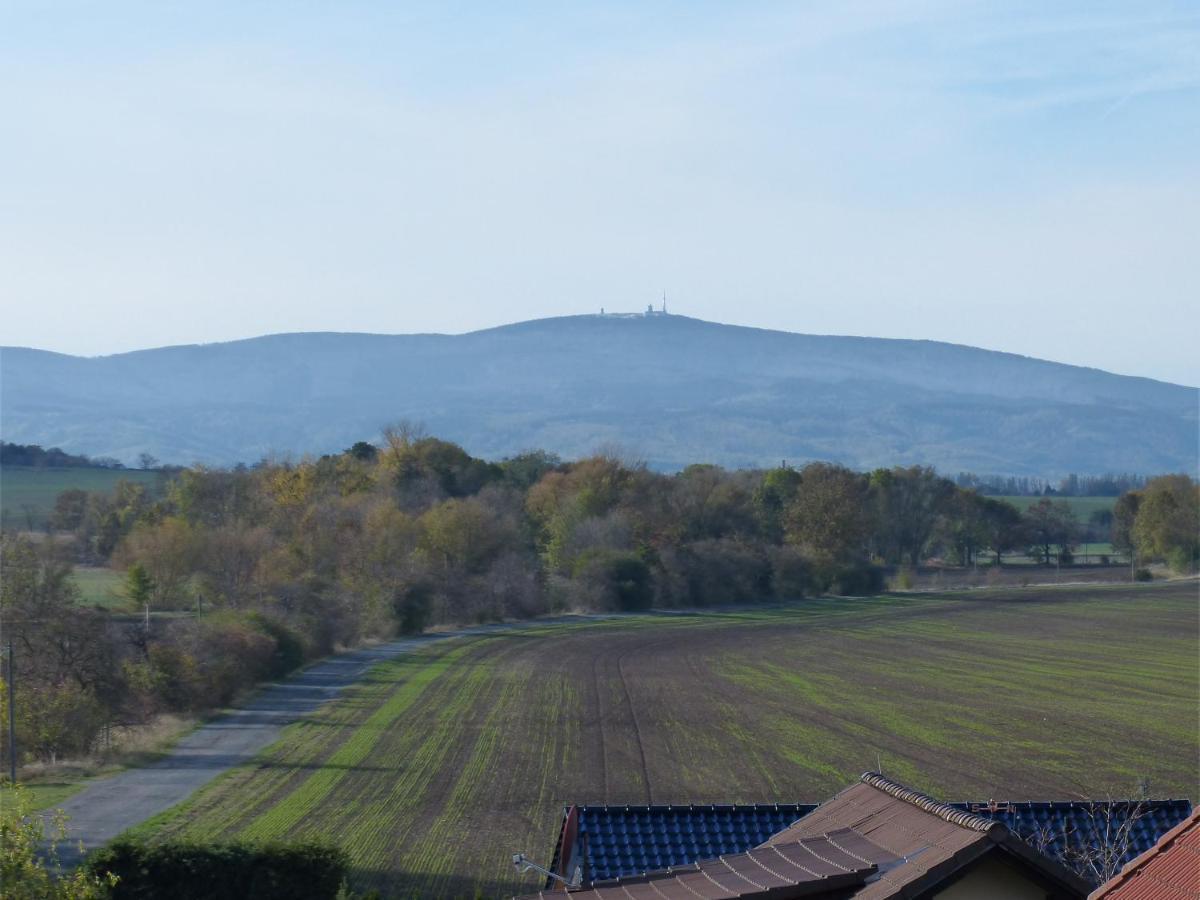 Ferienwohnung Mit Brockenblick Langenstein Bagian luar foto